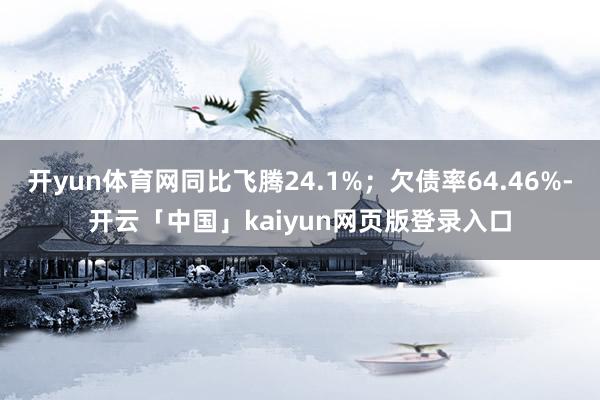 开yun体育网同比飞腾24.1%；欠债率64.46%-开云「中国」kaiyun网页版登录入口